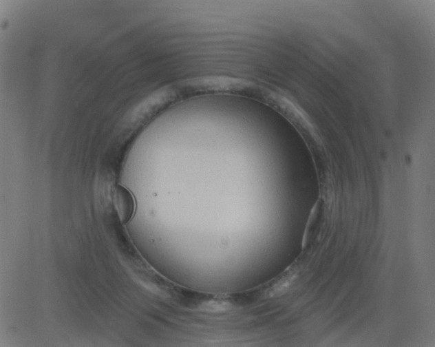 X0000084600119200703091939