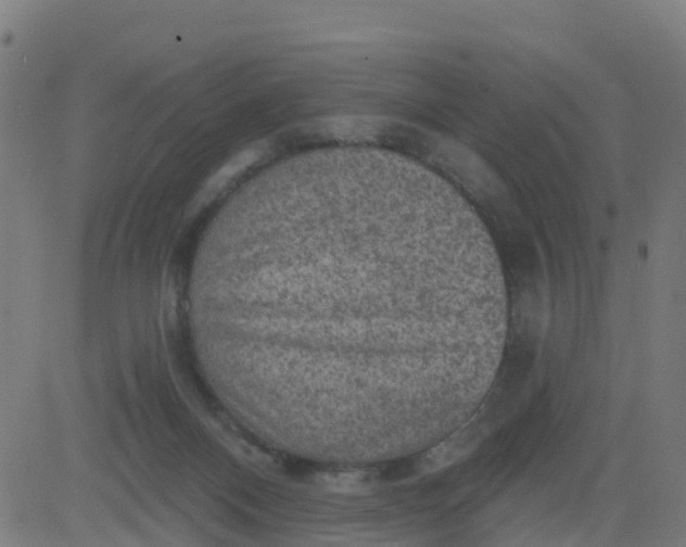 X0000084600120200703091939