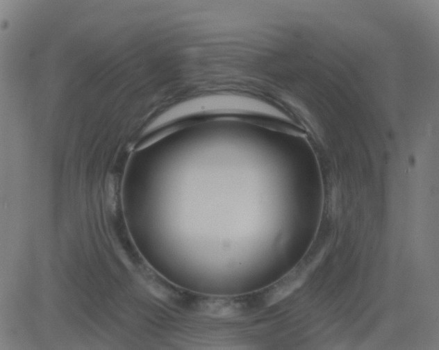 X0000084600121200703091939