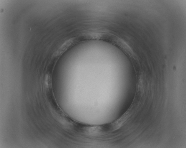 X0000084600122200703091939