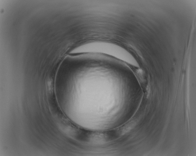 X0000084600123200703091939