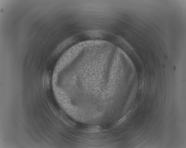 X0000084600124200703091939