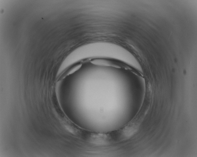 X0000084600125200703091939