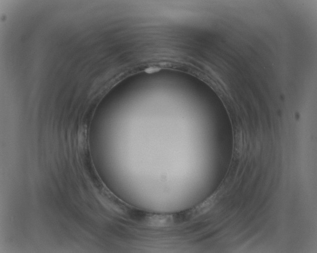 X0000084600126200703091939