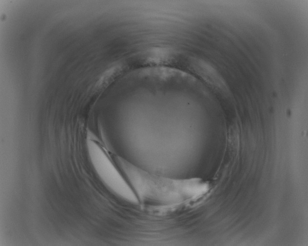 X0000084600127200703091939