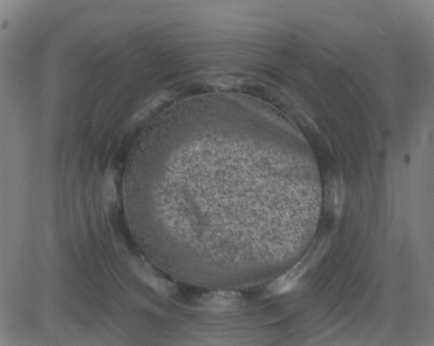 X0000084600128200703091938