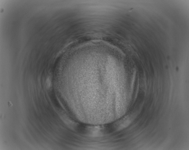 X0000084600131200703091938