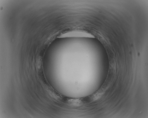 X0000084600133200703091938