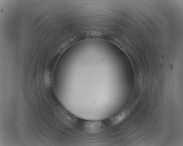 X0000084600135200703091938