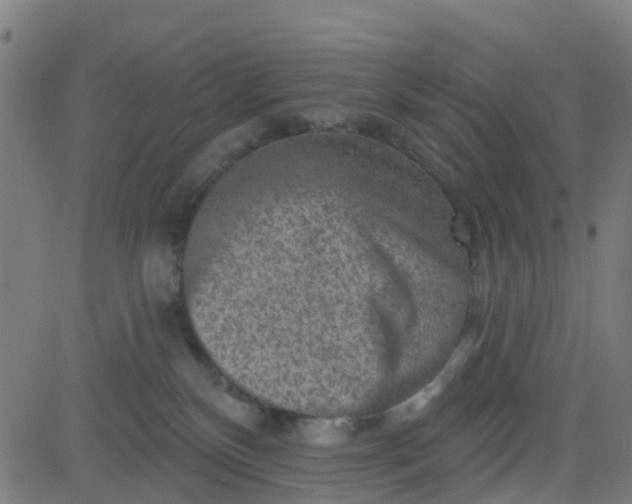 X0000084600136200703091938