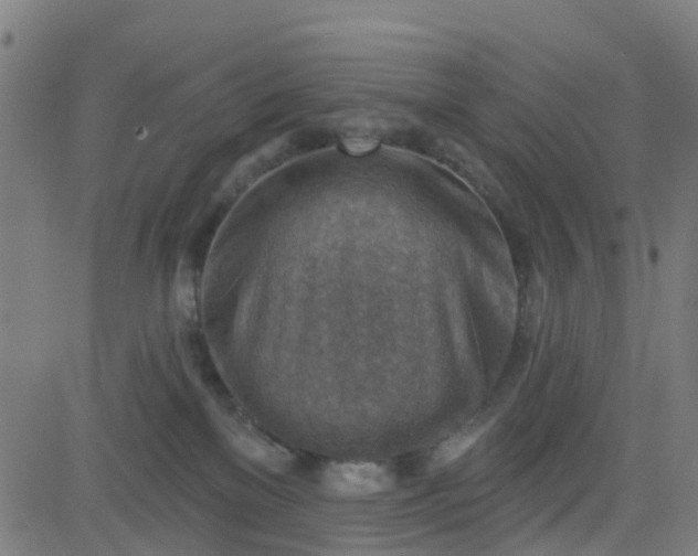 X0000084600137200703091938