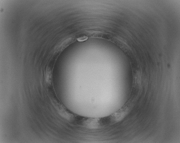 X0000084600138200703091938