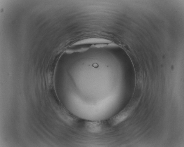 X0000084600139200703091938