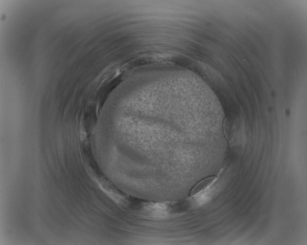 X0000084600140200703091938