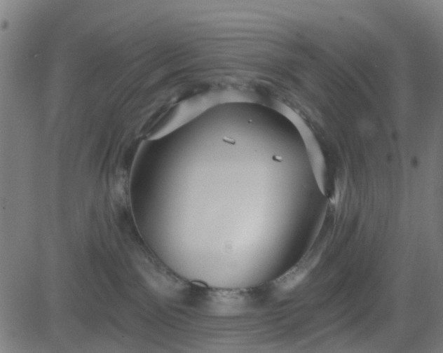 X0000084600141200703091938