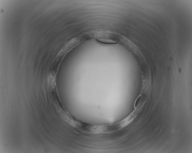 X0000084600142200703091938