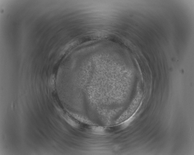 X0000084600144200703091938