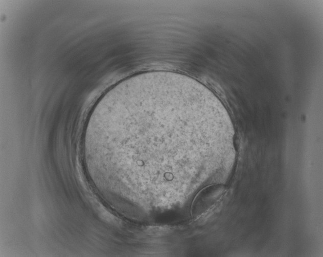 X0000084600145200703091937