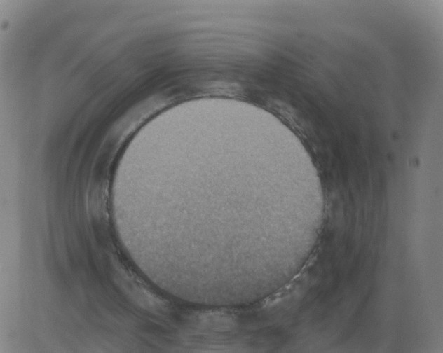 X0000084600146200703091937