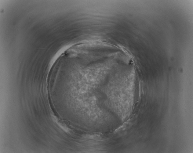 X0000084600147200703091937