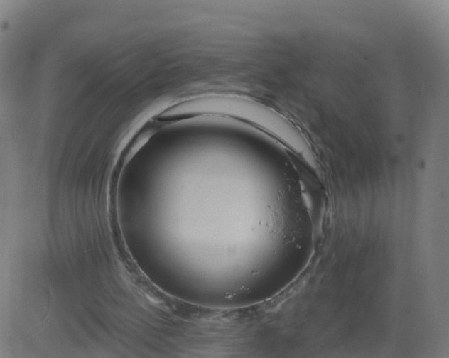 X0000084600148200703091937