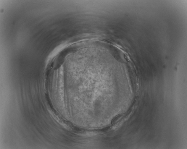 X0000084600149200703091937