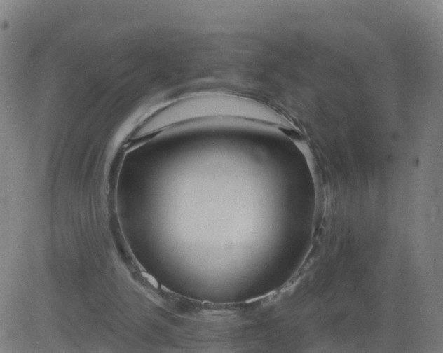 X0000084600150200703091938