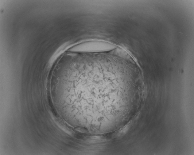 X0000084600151200703091938