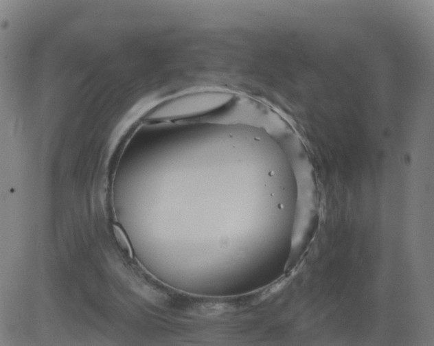 X0000084600152200703091938