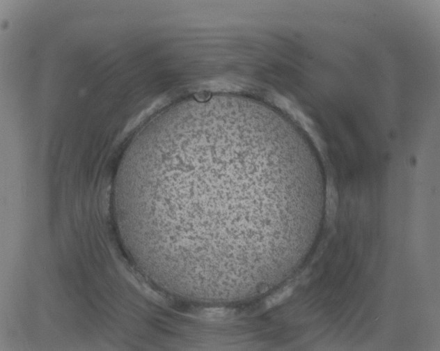 X0000084600153200703091938