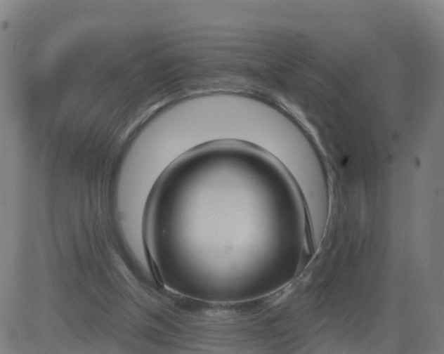 X0000084600154200703091938