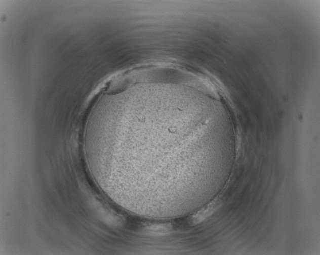 X0000084600155200703091938