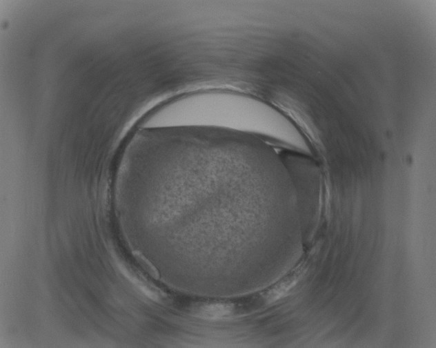 X0000084600156200703091938