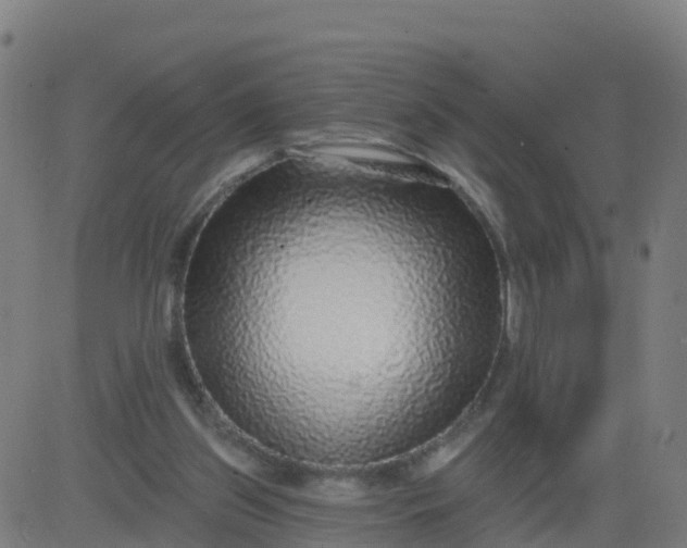 X0000084600157200703091938