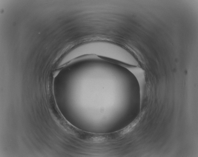 X0000084600158200703091938