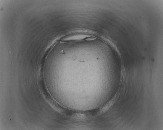 X0000084600159200703091938