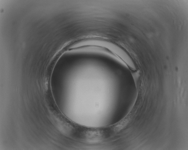 X0000084600160200703091938