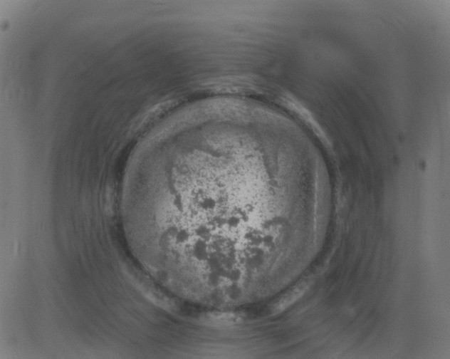 X0000084600161200703091938