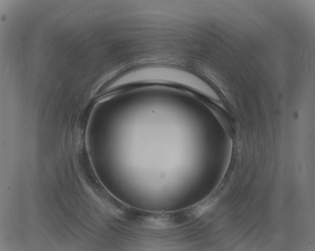 X0000084600164200703091938