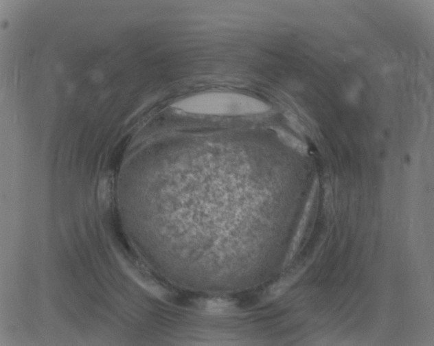 X0000084600165200703091938