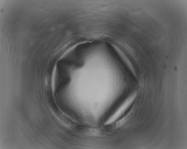 X0000084600166200703091938