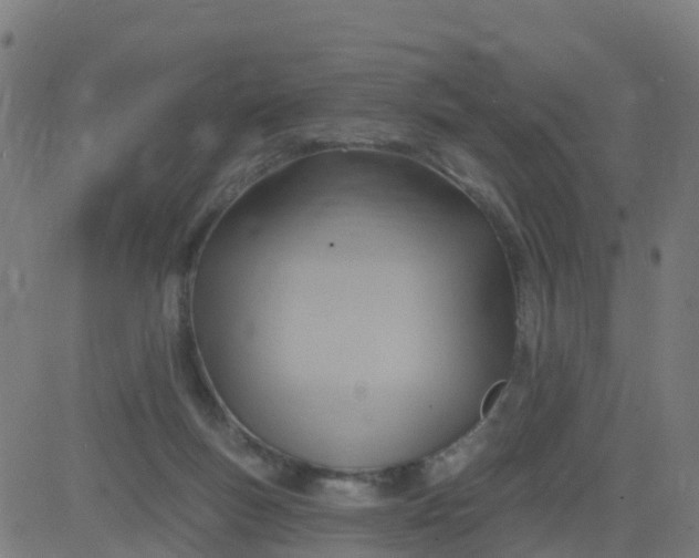 X0000084600167200703091938