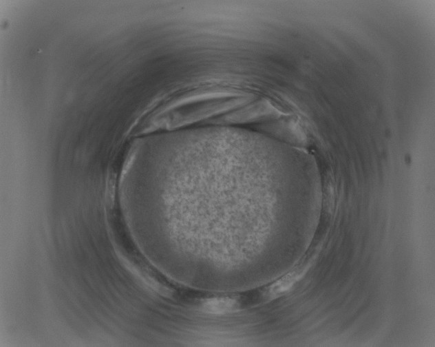 X0000084600168200703091938