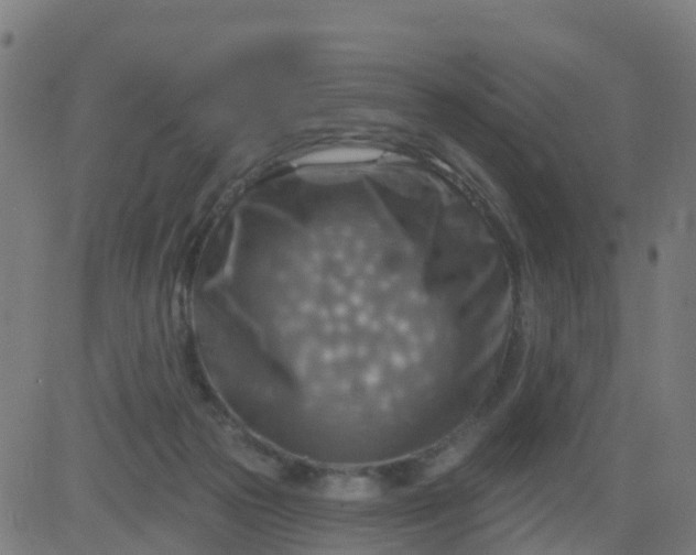 X0000084600169200703091938