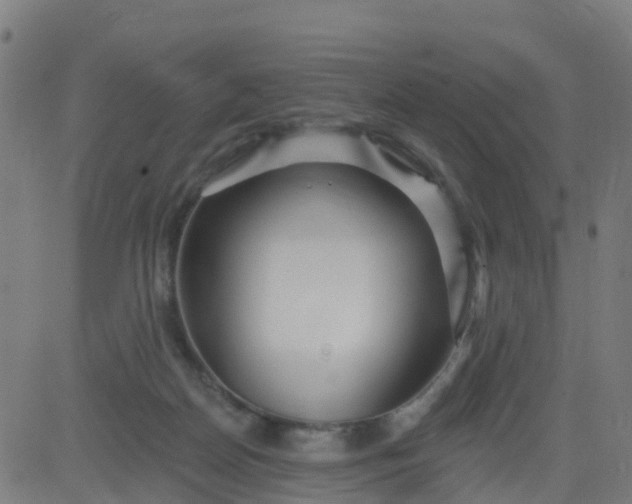 X0000084600170200703091938