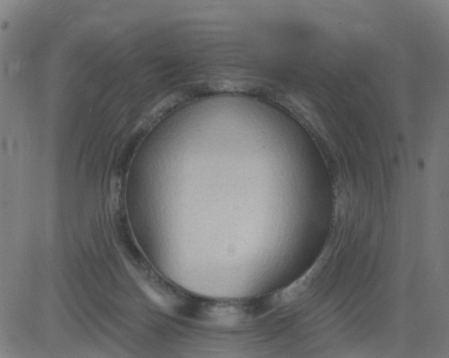 X0000084600171200703091938