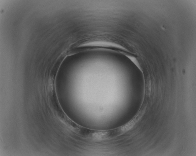 X0000084600172200703091938