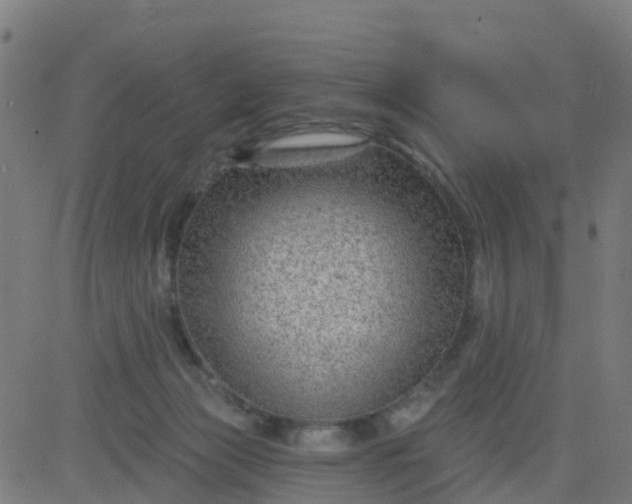 X0000084600173200703091938