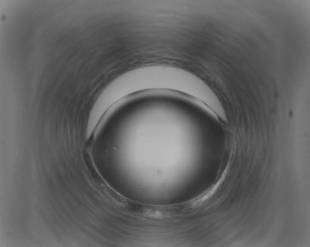 X0000084600174200703091938