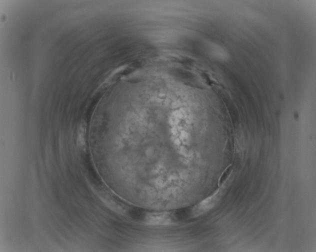 X0000084600175200703091938